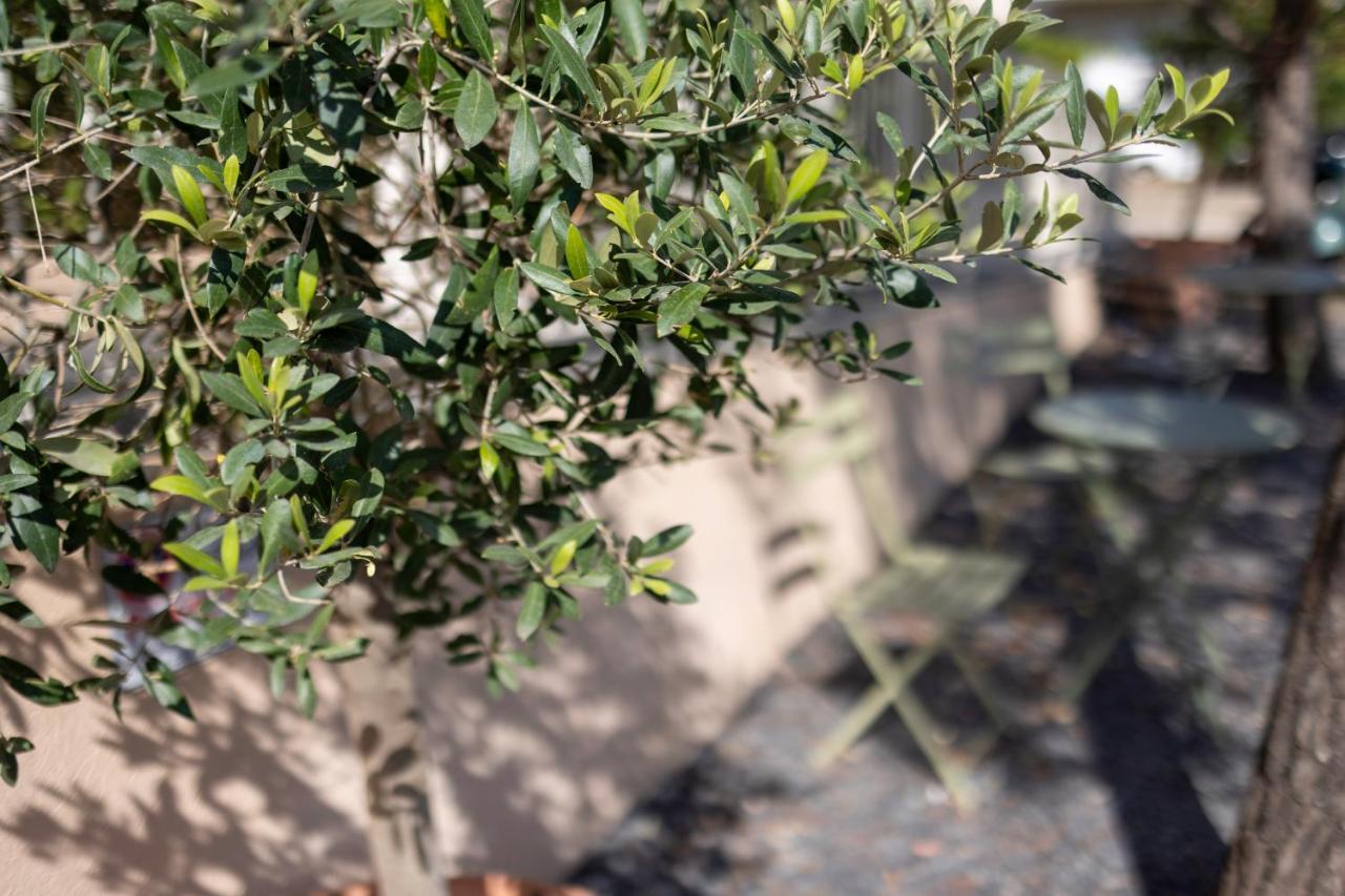 فندق كيرياد فريجوس سينتر Fréjus المظهر الخارجي الصورة